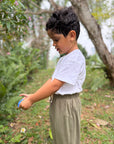 Everyday Pants - Olive